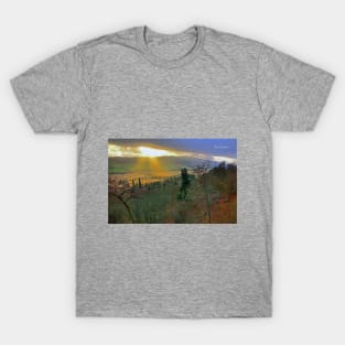 Winter Light T-Shirt